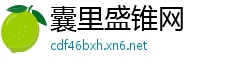 囊里盛锥网